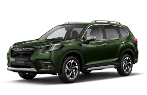 SUBARU CROSSTREK HATCHBACK at T.P. Hopwell (Birmingham) Ltd Nottingham