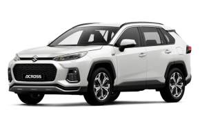 SUZUKI ACROSS ESTATE at T.P. Hopwell (Birmingham) Ltd Nottingham