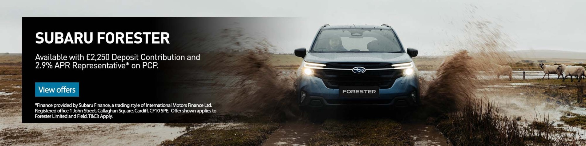 Forester Q4 Banner